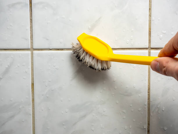 Best Health and Safety Mold Remediation in Taylor, TX